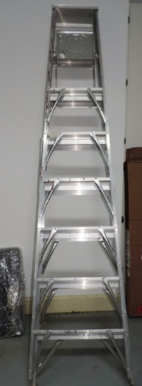 Aluminum 10 Foot Folding Ladder