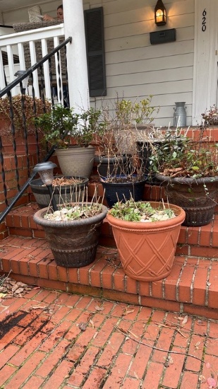 Planter Lot