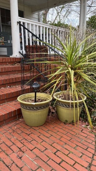 Plant Lot