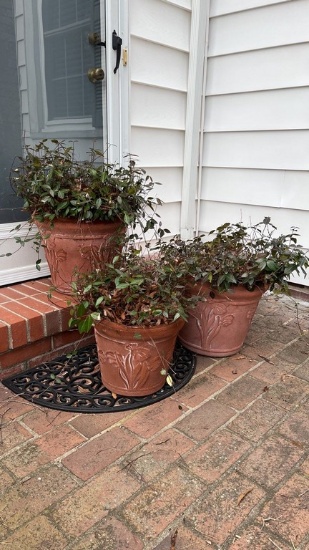 Planter Lot