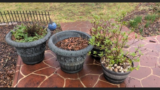 Planter Lot