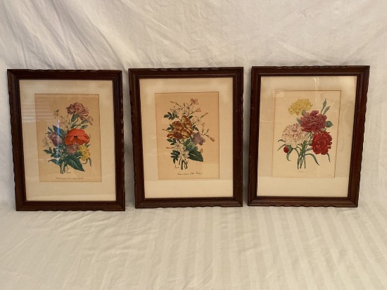 Three Vintage Framed Floral Prints