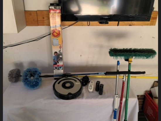 Household Cleaning Lot