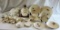 Set of Pinecone China
