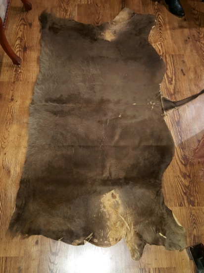 Vintage Buffalo Hide