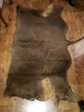 Vintage Buffalo Hide