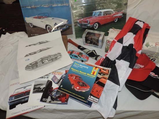Lot of Nascar Items and Car Books