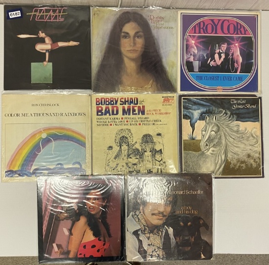 Lot of Rock and Pop LP's