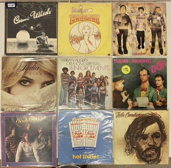 Lot of Rock and Pop LP's