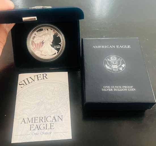 1999 American Eagle Silver Dollar in Government Pack