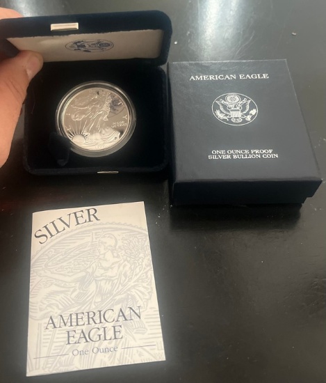 1999 American Eagle Silver Dollar in Government Pack