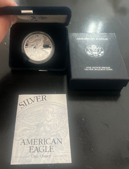 1999 American Eagle Silver Dollar in Government Pack