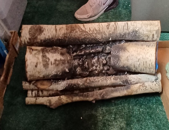 Electric Fireplace Log Display