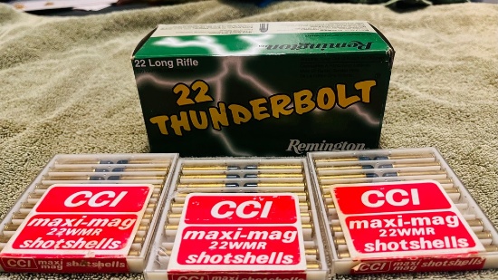 Lot of .22 Ammo