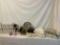 Miscellaneous Lot of Accessories
