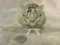 ROTC Belt Buckle