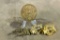 WW 11 Medical, Musical & Army Insignia