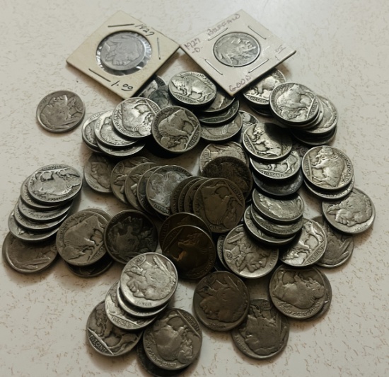 Lot of Buffalo Nickels