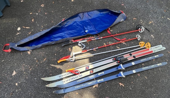 Travel Bag with Snow Skis