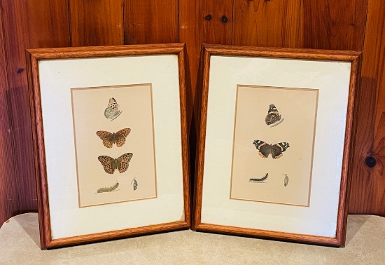 Pair Of Framed Morris Butterfly Hand Colored Prints