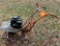 Front Tine Tiller