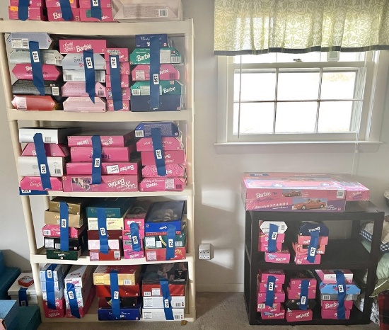 (2) Plastic Shelves(items on shelf not included)