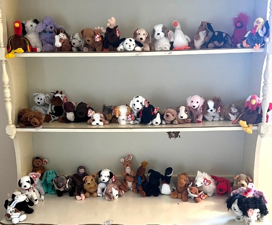 Lot of Forty Plus Beanie Babies