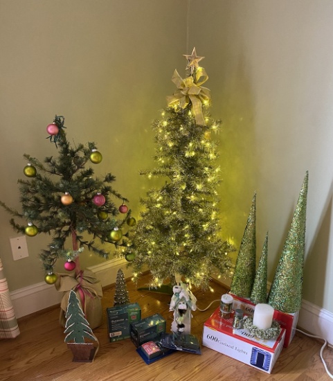 Lights & Christmas Trees