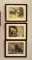 Lot Of 3 Vintage Foil Animal Prints In Frames