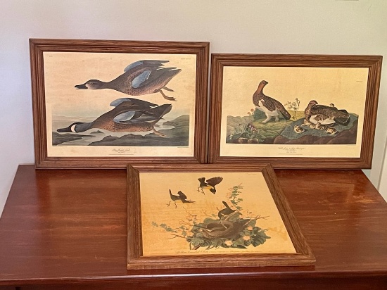 Lot Of 3 Framed Duck Color Prints