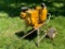 Briggs and Stratton 3 HP 2