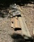 Lot of Wood
