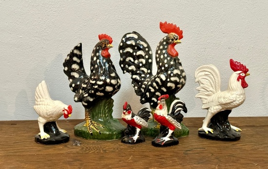 Lot of Chicken