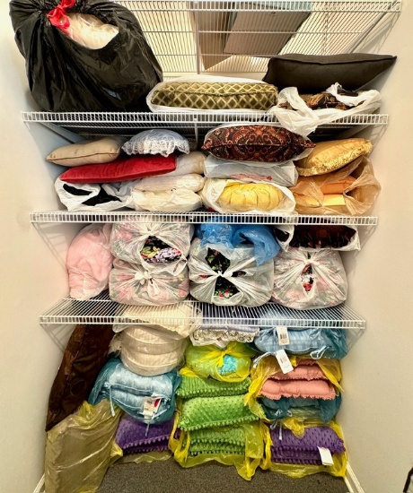 Garage Closet Pillow Lot