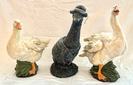 Duck, Duck, Goose …