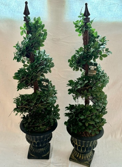 Pair of Topiaries in a Ceramic Pot