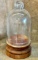 Glass Dome on Wood Base