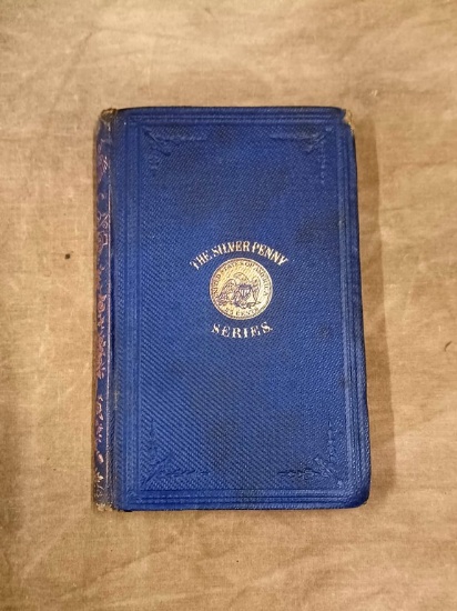Scarce 1861 First Edition "Theda And The Mountain" By H. W. P.