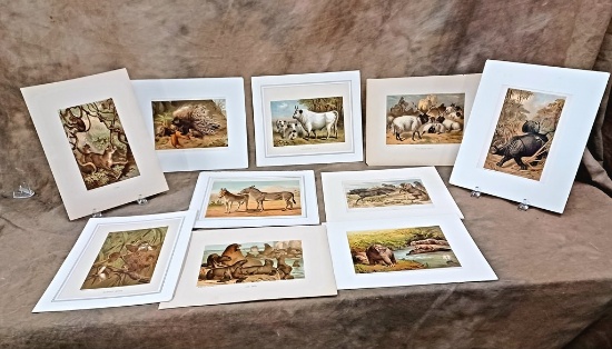Nice Lot Of Ten Color Chromolithograph Plates Of Animals late 1800's