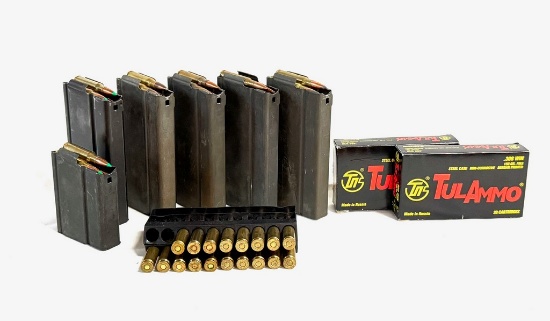 Lot of 308 Ammo with (7) Clips