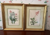 Pair Of Gold Framed Floral Prints