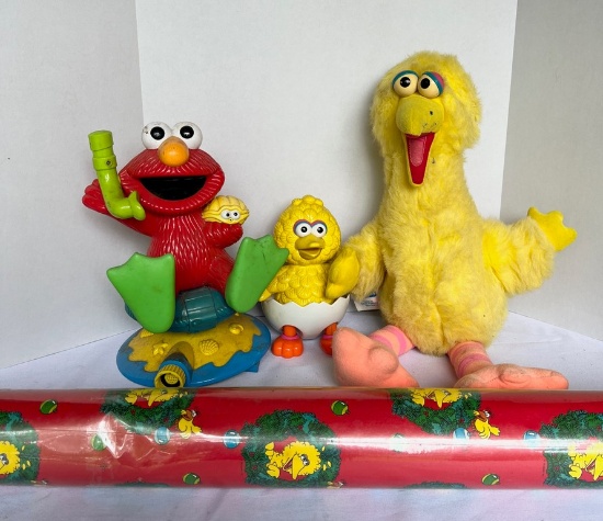 Sesame Street Characters and More