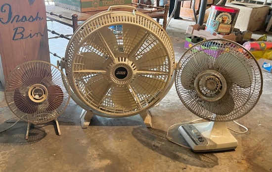 Fan Lot