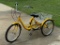 Shimano 7 Speed Trike Bike