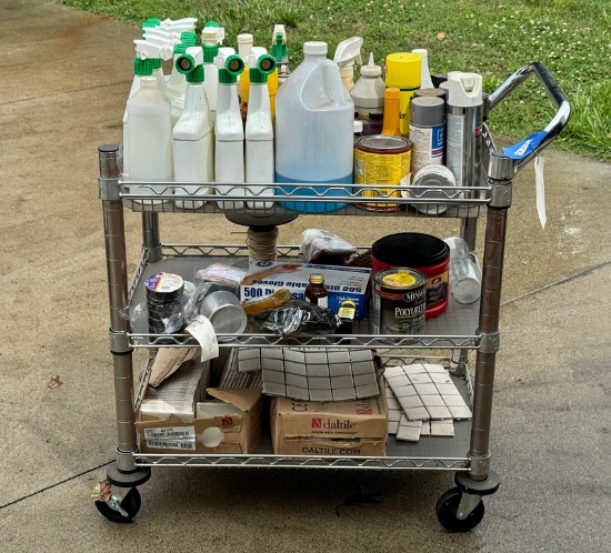 4 Wheel Roll Around NSF 3 Tier Cart