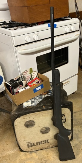 BB Gun Lot