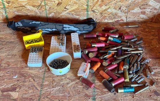 Ammo Lot
