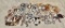 Lot of Costume Jewelry
