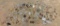 Lot of Costume Jewelry