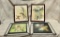 Vintage Bird Prints